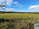 Rolny na sprzedaż - Kazimierska Reda, Wejherowski, 33 600 m², 2 016 000 PLN, NET-PAN262730