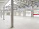 Obiekt do wynajęcia - Innowacyjna Sosnowiec, 16 700 m², 53 440 Euro (230 861 PLN), NET-483
