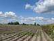 Rolny na sprzedaż - Topolin, Stare Babice (gm.), Warszawski Zachodni (pow.), 4124 m², 250 000 PLN, NET-778556