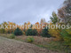 Rolny na sprzedaż - Tomaszewo, Nowe Miasto, Płoński, 9900 m², 120 000 PLN, NET-MXM-GS-545