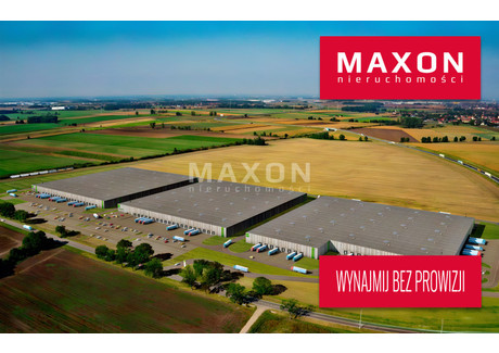 Magazyn do wynajęcia - ul. Jesionowa Magnice, Kobierzyce, Wrocławski, 3298 m², 14 017 Euro (60 551 PLN), NET-4478/PMW/MAX