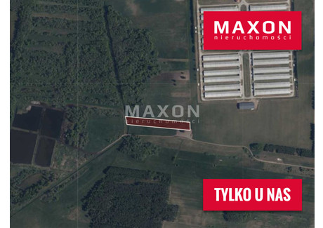 Działka na sprzedaż - Stare Kosiny, Wiśniewo, Mławski, 9000 m², 100 000 PLN, NET-7803/GS/MAX