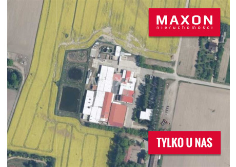 Magazyn na sprzedaż - Umienino-Łubki, Bielsk, Płocki, 7506 m², 7 816 000 PLN, NET-787/OMS/MAX