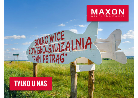 Obiekt na sprzedaż - Bolkowice, Paszowice, Jaworski, 250 m², 1 500 000 PLN, NET-518/OIS/MAX