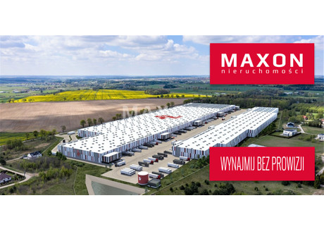 Magazyn do wynajęcia - ul. Dębowa Barniewice, Gdańsk, 3200 m², 15 360 Euro (66 355 PLN), NET-4628/PMW/MAX