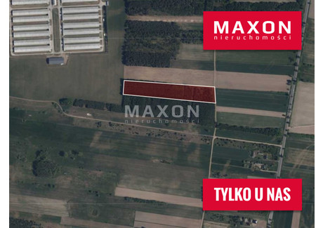 Działka na sprzedaż - Stare Kosiny, Wiśniewo, Mławski, 23 300 m², 240 000 PLN, NET-7802/GS/MAX