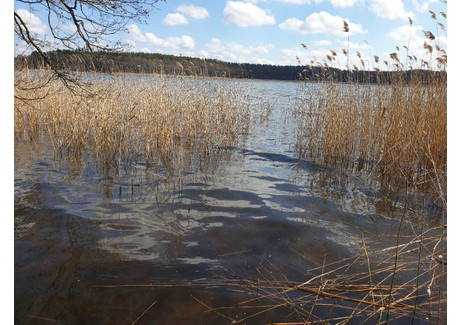 Działka na sprzedaż - Jęcznik, Szczytno, Szczycieński, 7000 m², 359 000 PLN, NET-3231