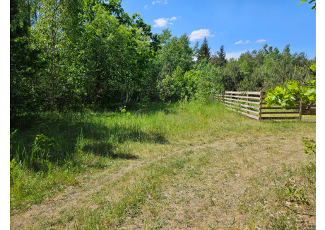 Działka na sprzedaż - Olszyny, Szczytno, Szczycieński, 3859 m², 89 000 PLN, NET-2895