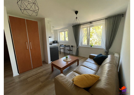 Mieszkanie na sprzedaż - Helenka, Zabrze, Zabrze M., 40,14 m², 250 000 PLN, NET-MDK-MS-11033
