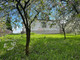 Dom na sprzedaż - Dębowa Łąka Dębowa Łąka (Gm.), Wąbrzeski (Pow.), 192 m², 350 000 PLN, NET-266