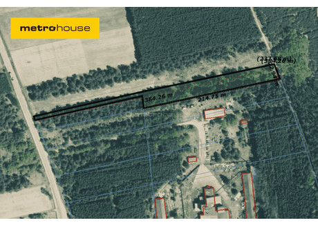 Działka na sprzedaż - Korytków, Gowarczów, Konecki, 4085 m², 142 000 PLN, NET-SGBENA299