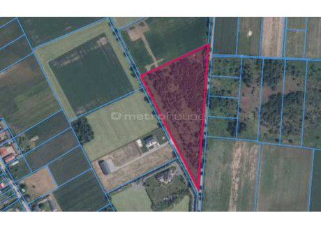 Działka na sprzedaż - Nowodwór, Siennica, Miński, 25 100 m², 1 255 000 PLN, NET-SGKURI207