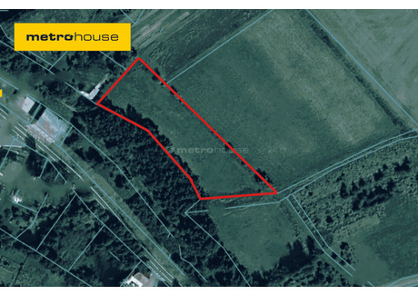 Działka na sprzedaż - Sędziszowa, Świerzawa, Złotoryjski, 4000 m², 200 000 PLN, NET-SGJACI907