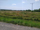 Rolny na sprzedaż - Mszczonów, Żyrardowski, 3851 m², 300 000 PLN, NET-DOCY792