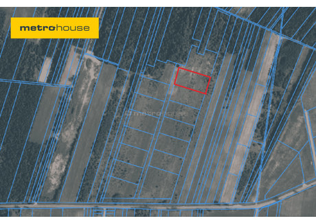 Działka na sprzedaż - Karolew, Dąbrówka, Wołomiński, 5000 m², 830 000 PLN, NET-SGLENY145