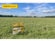 Działka na sprzedaż - Rudziniec, Gliwicki, 688 m², 139 999 PLN, NET-SGFICI410