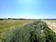 Rolny na sprzedaż - Rogozina, Trzebiatów, Gryficki, 918 m², 99 000 PLN, NET-HEJE809