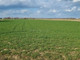 Rolny na sprzedaż - Piotrów, Łagów, Kielecki, 6552 m², 55 000 PLN, NET-DYLI253