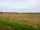 Rolny na sprzedaż - Maleszowa, Pierzchnica, Kielecki, 9721 m², 62 000 PLN, NET-RUGE668