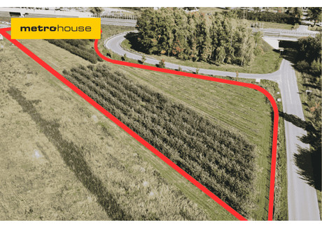 Działka na sprzedaż - Kępina, Grójec, Grójecki, 10 585 m², 1 848 000 PLN, NET-SGLODY876