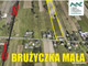 Budowlany na sprzedaż - Brużyczka Mała, Aleksandrów Łódzki (Gm.), Zgierski (Pow.), 27 508 m², 1 950 000 PLN, NET-16