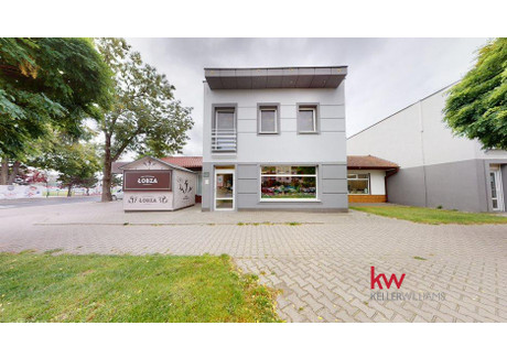 Lokal do wynajęcia - Poselska Środa Wielkopolska, Średzki, 61,4 m², 2450 PLN, NET-5b/03/UE/KK/2024