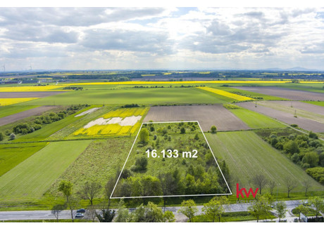 Działka na sprzedaż - Wrocławska Stanowice, Oława (gm.), Oławski (pow.), 16 133 m², 1 490 000 PLN, NET-20240510