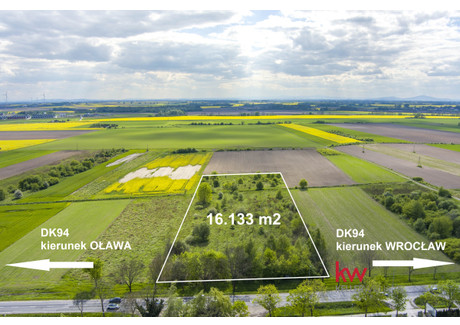 Działka na sprzedaż - Wrocławska Stanowice, Oława (gm.), Oławski (pow.), 16 133 m², 1 490 000 PLN, NET-20240510