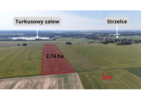 Działka na sprzedaż - Dobroszyce, Oleśnicki, 27 400 m², 1 233 000 PLN, NET-16RI