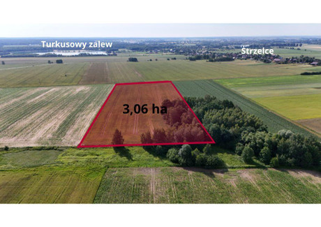 Działka na sprzedaż - Strzelce Dobroszyce (gm.), Oleśnicki (pow.), 30 659 m², 1 260 000 PLN, NET-17RI