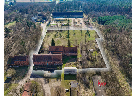 Działka na sprzedaż - Góra, Jaraczewo, Jarociński, 10 900 m², 499 000 PLN, NET-KWBB22032024