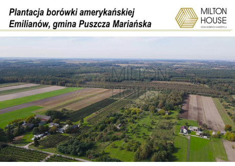 Dom na sprzedaż - Emilianów, Puszcza Mariańska, Żyrardowski, 200 m², 1 400 000 PLN, NET-128850