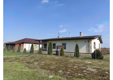 Dom na sprzedaż - Niedrzew Drugi, Strzelce (gm.), Kutnowski (pow.), 192 m², 585 000 PLN, NET-01/04/2022