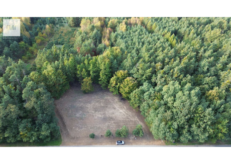 Działka na sprzedaż - Pustków, 3300 m², 490 000 PLN, NET-22384