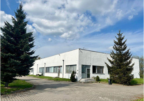 Fabryka, zakład na sprzedaż - Średzka Kostomłoty, Średzki, 1313 m², 2 946 400 PLN, NET-47480169