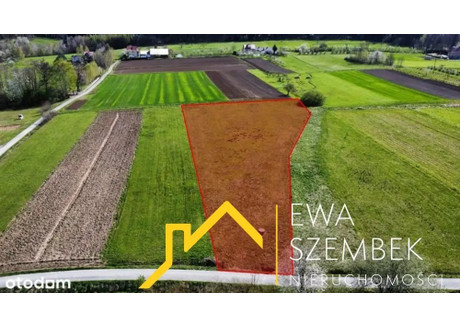 Działka na sprzedaż - Żegocina, Bocheński, 4200 m², 200 000 PLN, NET-SBK-GS-17789