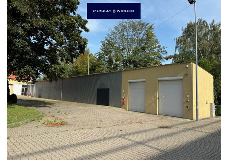 Magazyn do wynajęcia - Przymorze, Gdańsk, 175 m², 5250 PLN, NET-106189