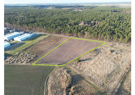 Działka na sprzedaż - Buszewo, Pniewy (Gm.), Szamotulski (Pow.), 9723 m², 719 000 PLN, NET-203