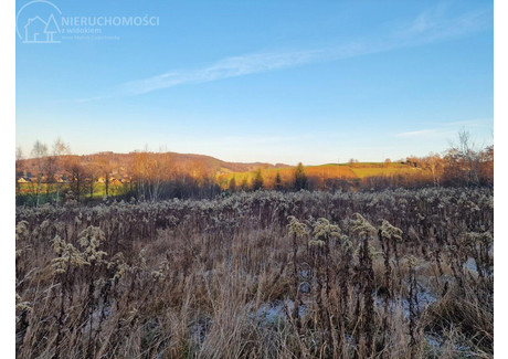 Działka na sprzedaż - Gromnik, Gromnik (Gm.), Tarnowski (Pow.), 1282 m², 79 000 PLN, NET-111