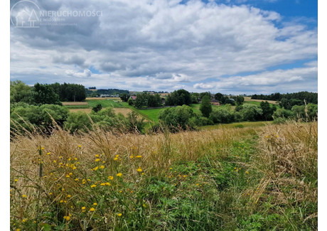 Działka na sprzedaż - Sitnica, Biecz, Gorlicki, 10 602 m², 69 000 PLN, NET-74