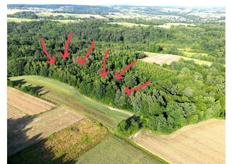 Działka na sprzedaż - Sitnica, Biecz, Gorlicki, 8867 m², 59 000 PLN, NET-77