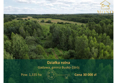 Działka na sprzedaż - Gadawa, Busko-Zdrój, Buski, 13 350 m², 30 000 PLN, NET-72