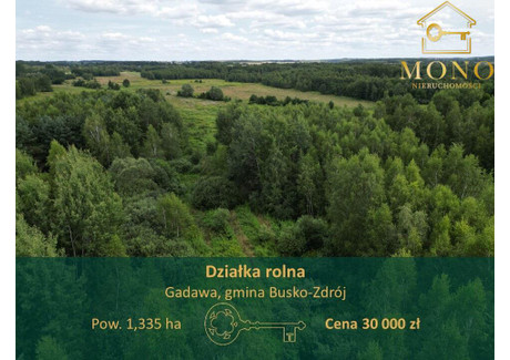 Działka na sprzedaż - Gadawa, Busko-Zdrój, Buski, 13 350 m², 30 000 PLN, NET-100