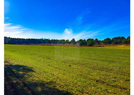 Działka na sprzedaż - Pogodna Bartoszówka, Żabia Wola, Grodziski, 1018 m², 149 000 PLN, NET-102320