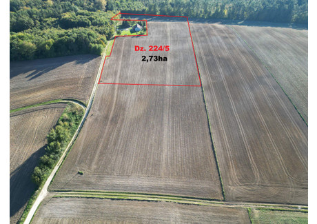 Działka na sprzedaż - Wola Knyszyńska, Działoszyce (Gm.), Pińczowski (Pow.), 27 300 m², 165 000 PLN, NET-63