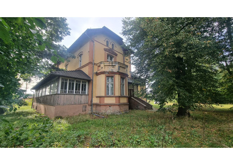 Lokal gastronomiczny na sprzedaż - Zawadzkie, Zawadzkie (gm.), Strzelecki (pow.), 538 m², 1 349 000 PLN, NET-48