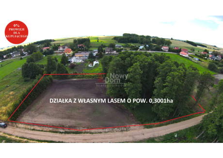 Działka na sprzedaż - Kożuchy Wielkie, Giżycko, Giżycki, 1400 m², 80 000 PLN, NET-NDG-GS-1442