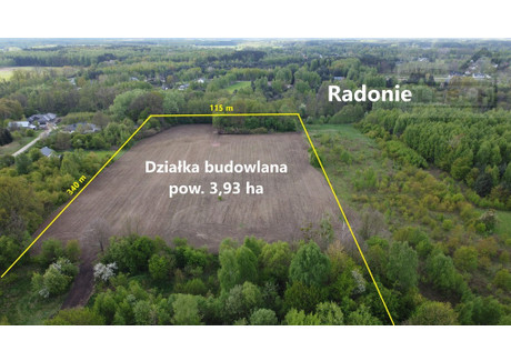 Działka na sprzedaż - Radonie, Grodzisk Mazowiecki, Grodziski, 39 300 m², 7 000 000 PLN, NET-2045/1807/OGS