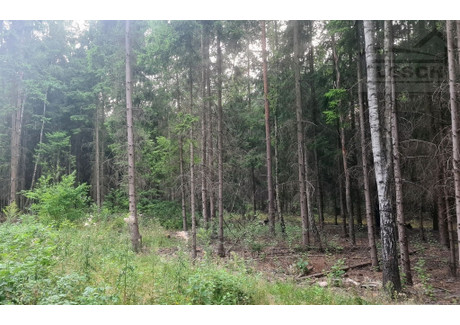 Działka na sprzedaż - Ojrzanów, Żabia Wola, Grodziski, 1044 m², 215 000 PLN, NET-1330/1807/OGS