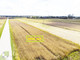 Rolny na sprzedaż - Leoncin, Nowodworski, 3897 m², 200 000 PLN, NET-36054